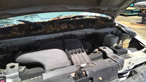 2007 Ford E-150