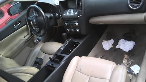2014 Nissan Maxima