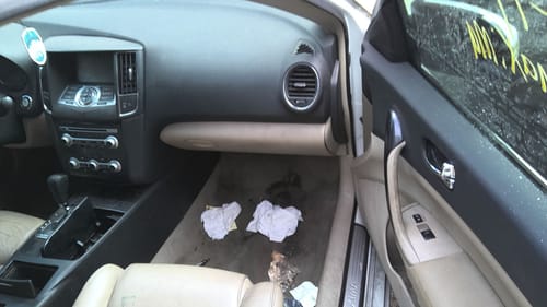 2014 Nissan Maxima