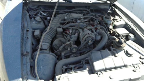 2003 Ford Mustang