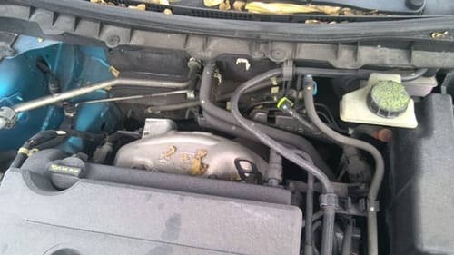 2010 Mazda Mazda3