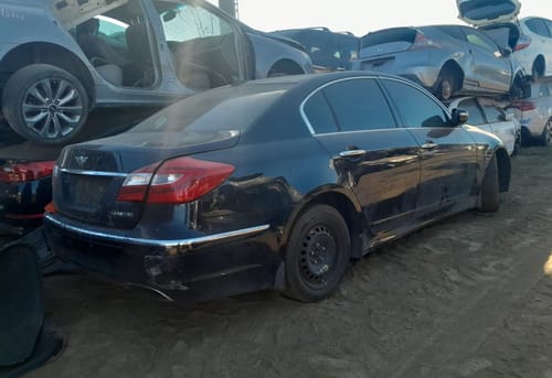 2013 Genesis Genesi