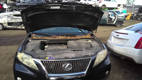 2010 Lexus Rx350
