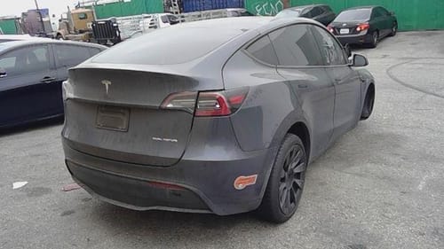 2020 Tesla Model Y
