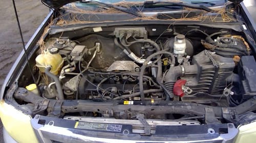 2008 Mazda Tribute