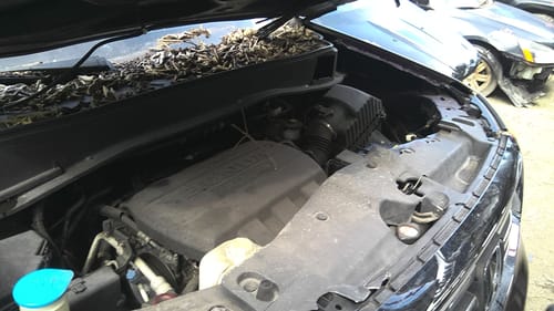 2012 Honda Pilot