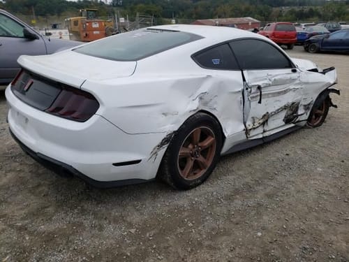 2019 Ford Mustang