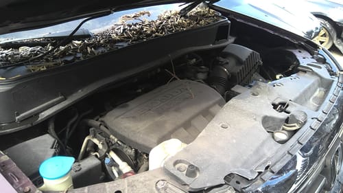 2012 Honda Pilot