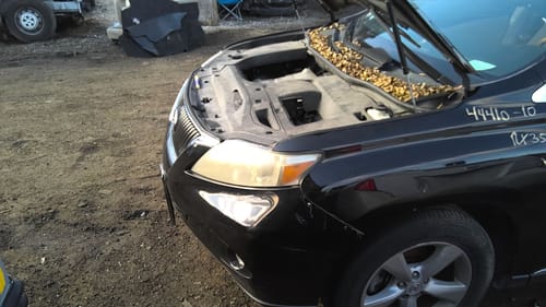 2010 Lexus Rx350