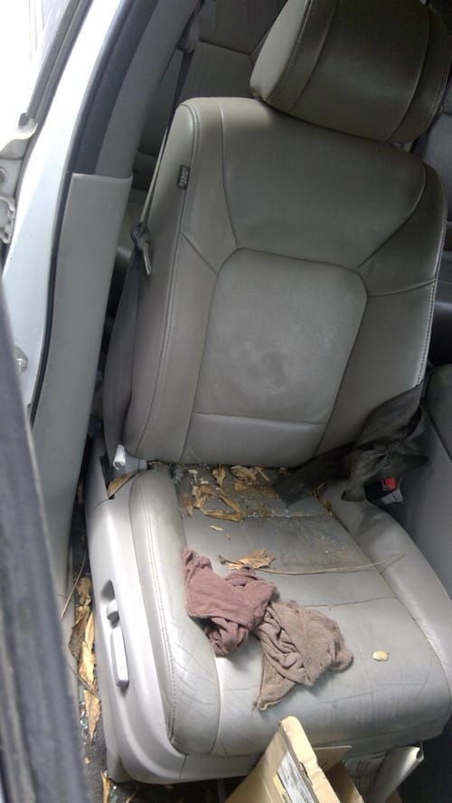 2011 Honda Pilot