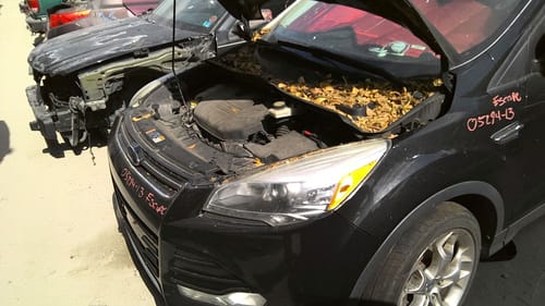 2013 Ford Escape