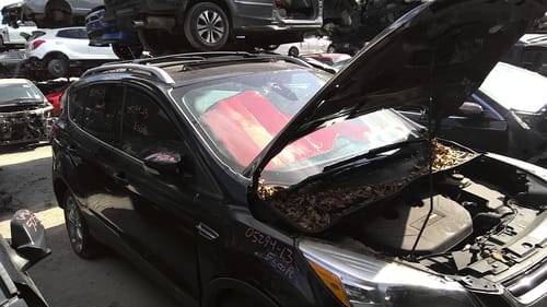 2013 Ford Escape