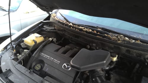 2008 Mazda Cx-9