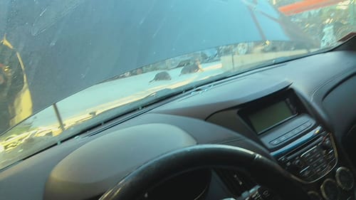 2013 Genesis Genesi