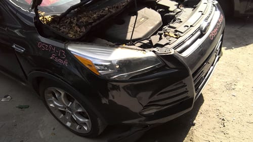 2013 Ford Escape