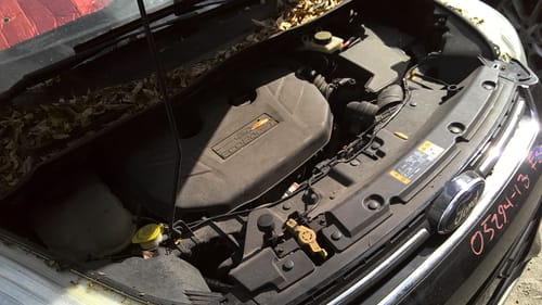 2013 Ford Escape