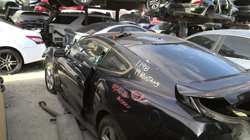 2019 Ford Mustang