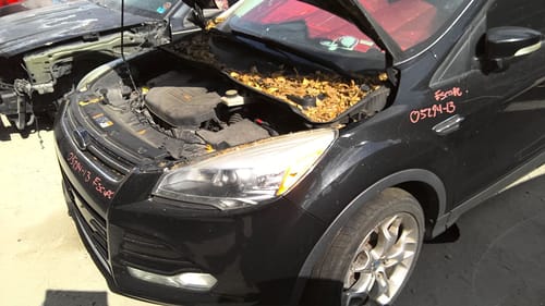 2013 Ford Escape