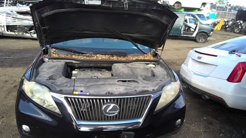 2010 Lexus Rx350