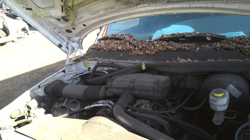 2001 Dodge Dpu15